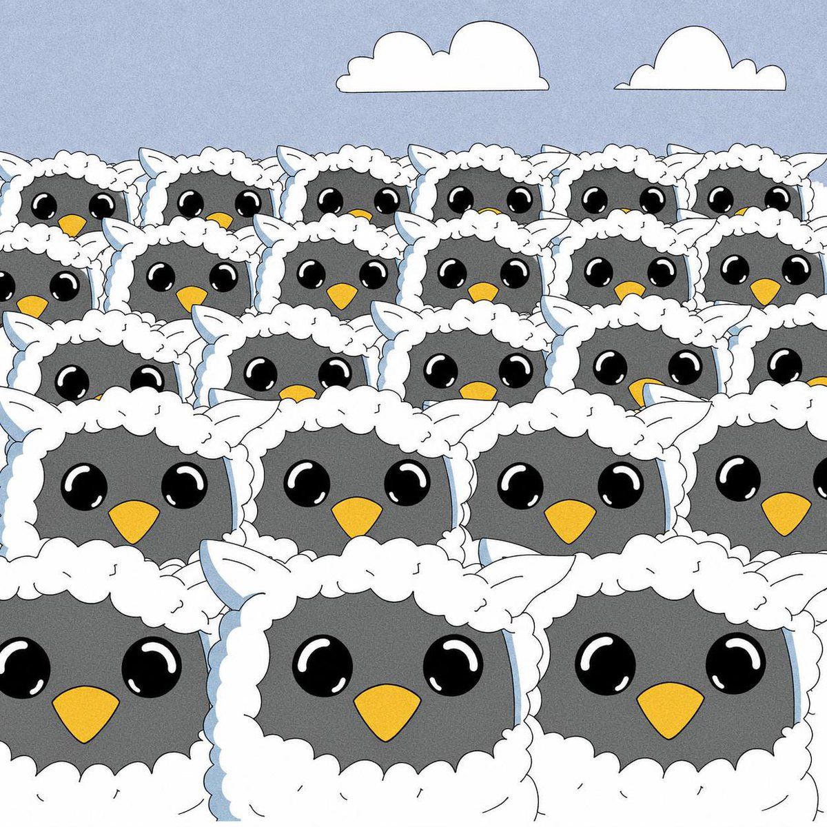 A flock of rwobs